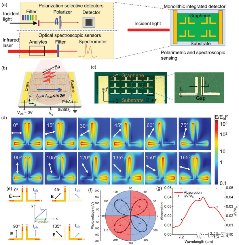 Adv. Optical Mater.：零偏置长波红外纳米天线介导的石墨烯光电探测器，用于偏振和光谱传感
