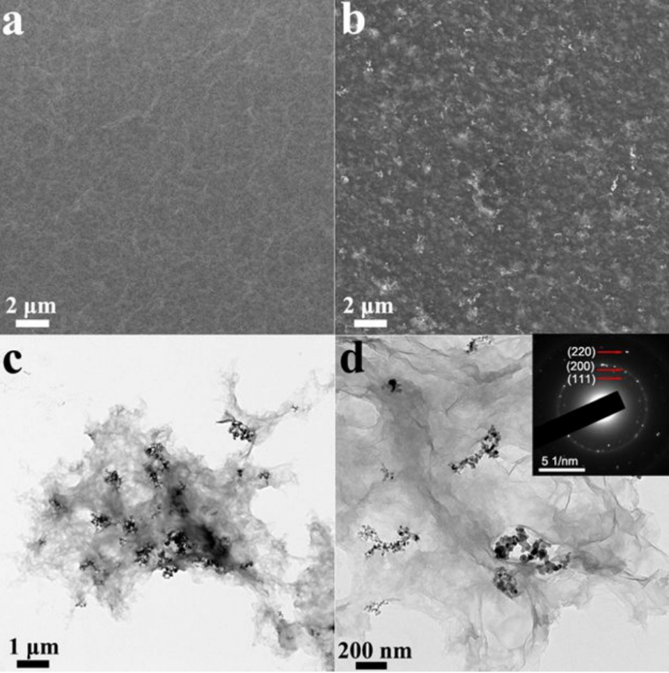 从海水及废水中稳定产出高质量淡水，科学家制备新型等离子体光热复合材料，可用于连续快速的太阳能水蒸发
