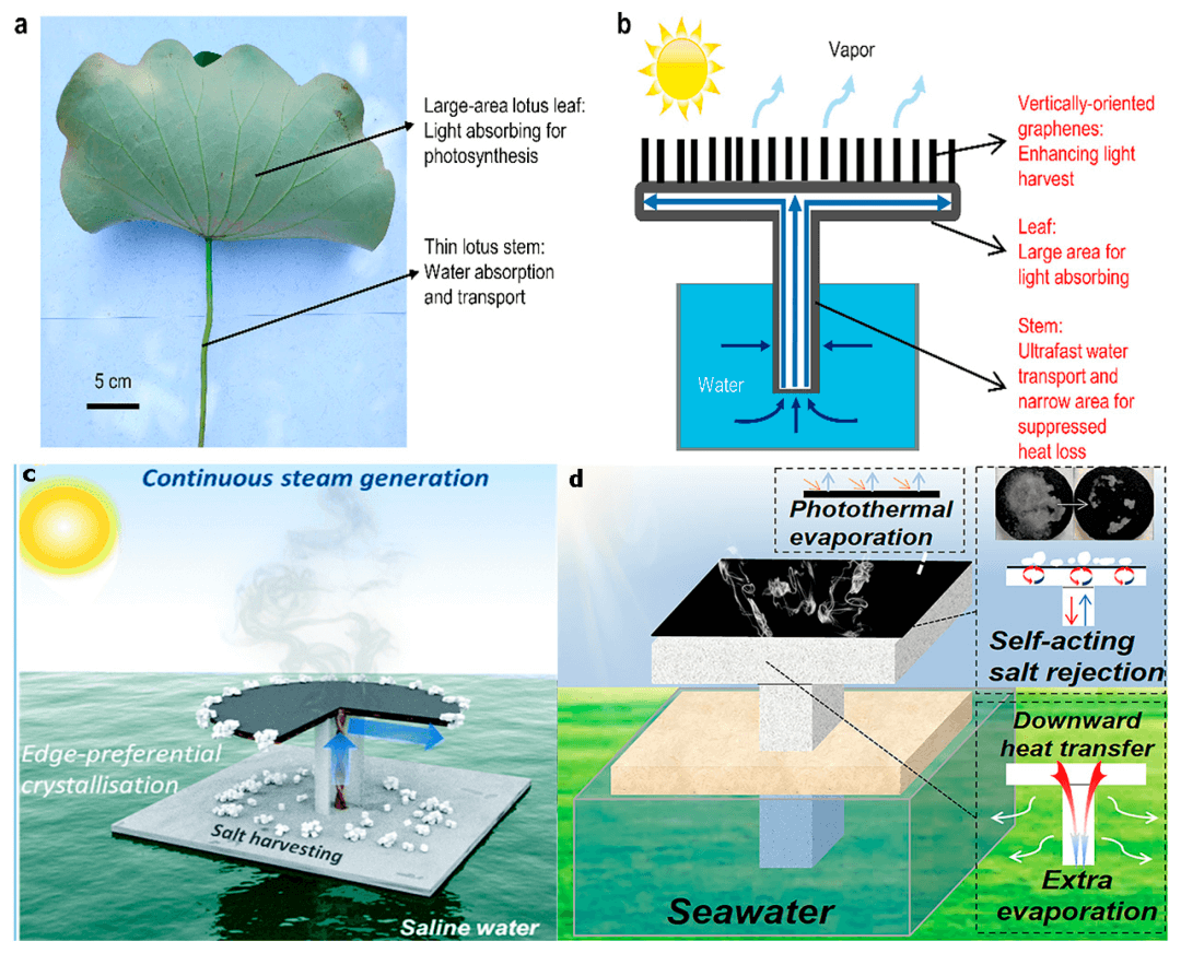 天津大学刘宪华教授研究团队“用于海水淡化的石墨烯基膜：综述” | MDPI Polymers