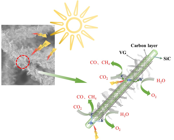 Carbon：基于稻壳的SiC/C复合材料负载垂直石墨烯用于高选择性光催化CO2还原为CO
