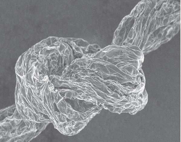 高超教授：中流击水，潜心创新，筑梦“烯”美天下