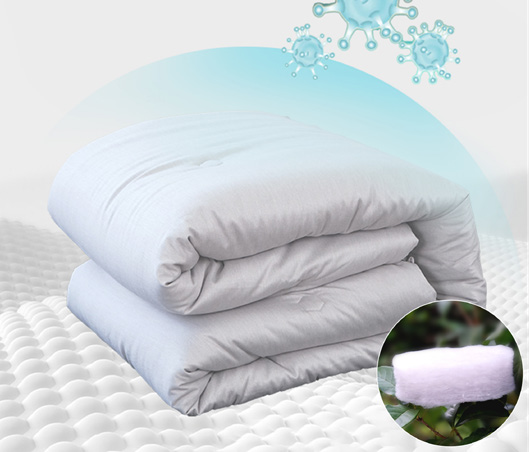 高超教授：中流击水，潜心创新，筑梦“烯”美天下