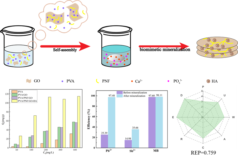 青岛大学魏刚团队: 纳米肽石墨烯复合气凝胶实现对污染物可持续吸附