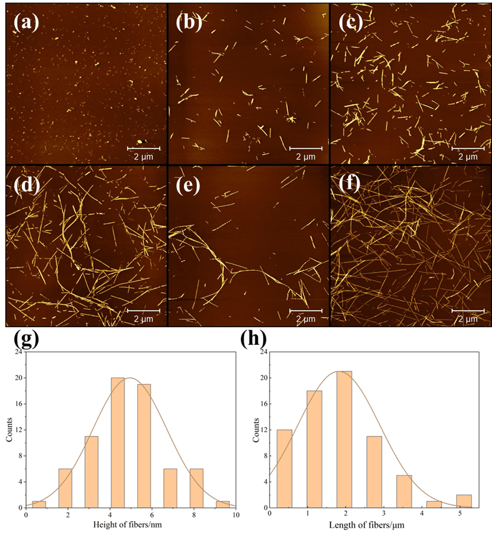 青岛大学魏刚团队: 纳米肽石墨烯复合气凝胶实现对污染物可持续吸附