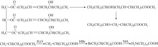 碳中和指南：生物基尼龙材料研究现状