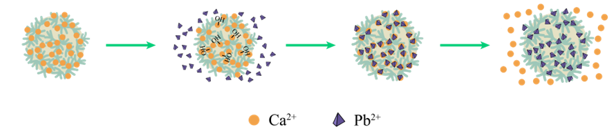 青岛大学魏刚团队: 纳米肽石墨烯复合气凝胶实现对污染物可持续吸附