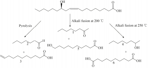 碳中和指南：生物基尼龙材料研究现状