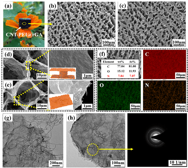 四川大学叶林教授团队 Small：自组装构建坚韧超弹石墨烯气凝胶用于甲醛高效去除及多功能应用研究