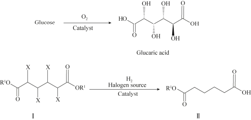 碳中和指南：生物基尼龙材料研究现状