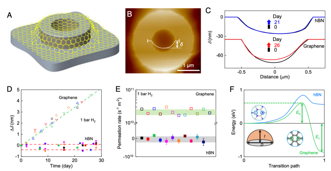 科学家揭示纳米褶皱石墨烯具有强催化活性，为研究碳材料催化带来全新视角