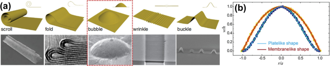 安徽工业大学AS综述：双离子电池石墨正极中的纳米石墨烯泡