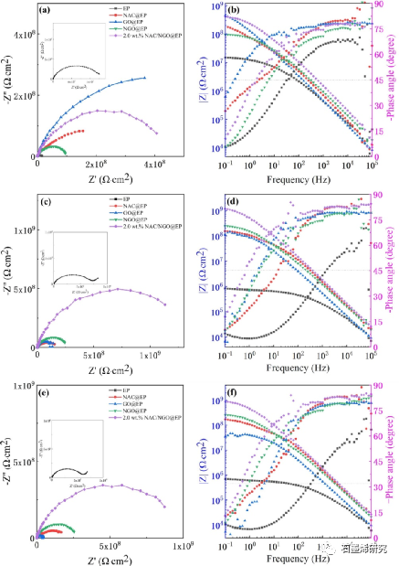 中国科学院金属研究所Jinsong Zhang等--非晶纤维素边缘功能化氧化石墨烯用于水性环氧涂料的防腐加固