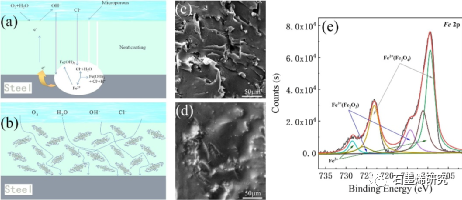 中国科学院金属研究所Jinsong Zhang等--非晶纤维素边缘功能化氧化石墨烯用于水性环氧涂料的防腐加固
