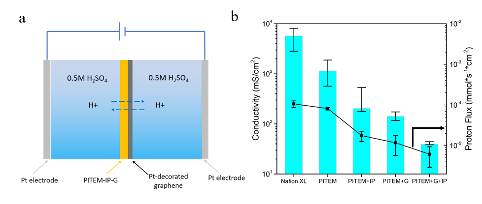天大/北大：界面聚合修复的大尺度石墨烯用于氢同位素分离