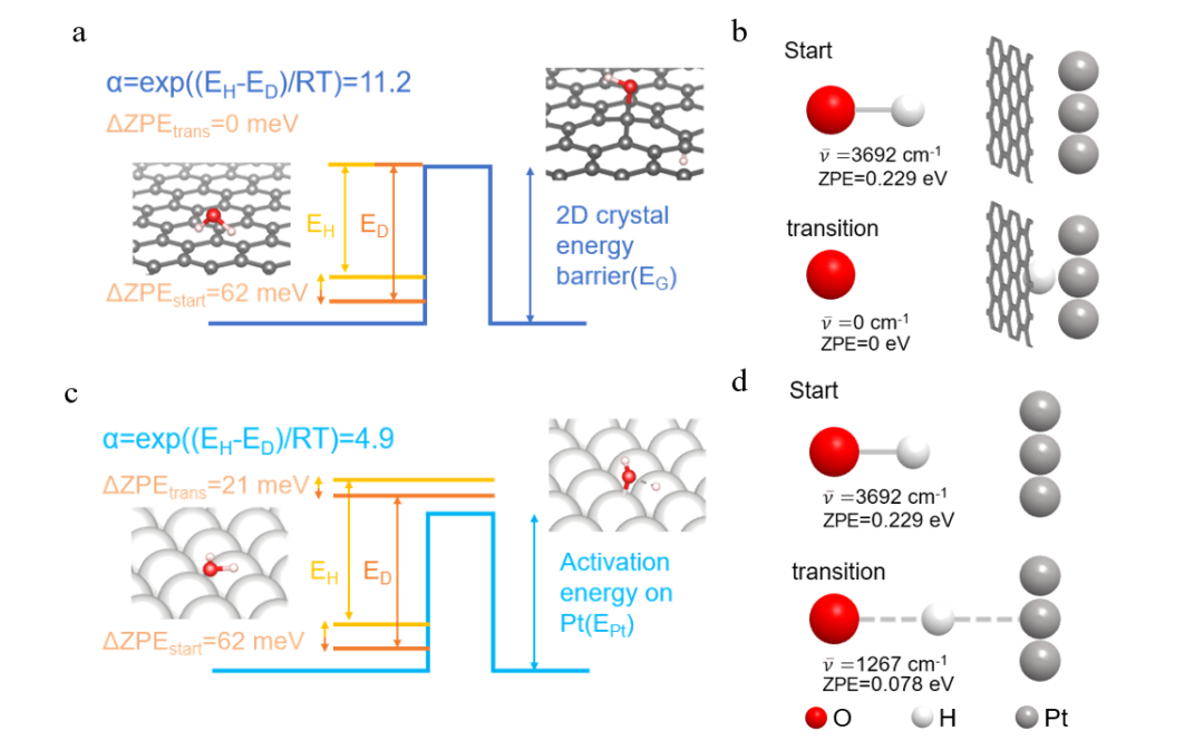天大/北大：界面聚合修复的大尺度石墨烯用于氢同位素分离