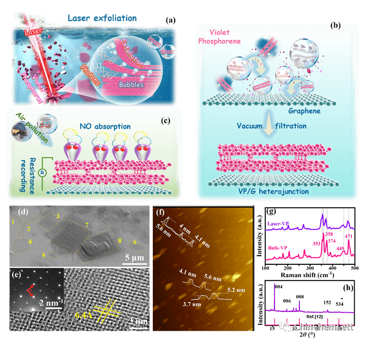 【CCL文章推荐】激光法剥离紫磷/石墨烯异质结在高灵敏度室温ppb级NO传感的应用