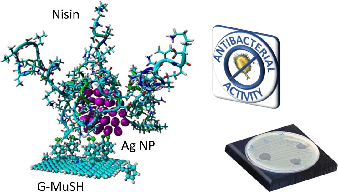 Münchnone 功能化石墨烯的化学性质研究 | MDPI Nanomaterials