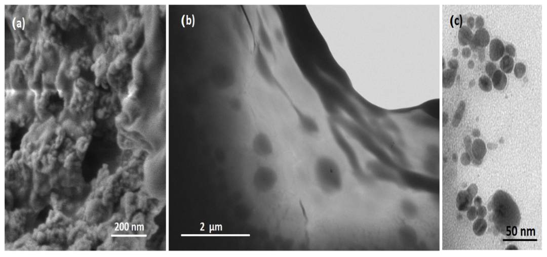 Münchnone 功能化石墨烯的化学性质研究 | MDPI Nanomaterials