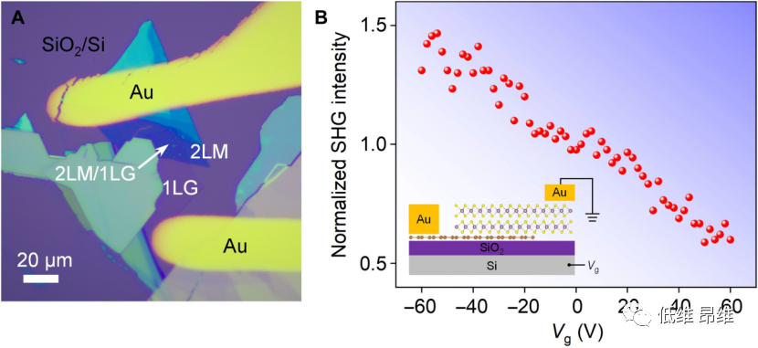Sci. Adv.：双层MoS2和单层石墨烯范德华异质结中的二次谐波生成