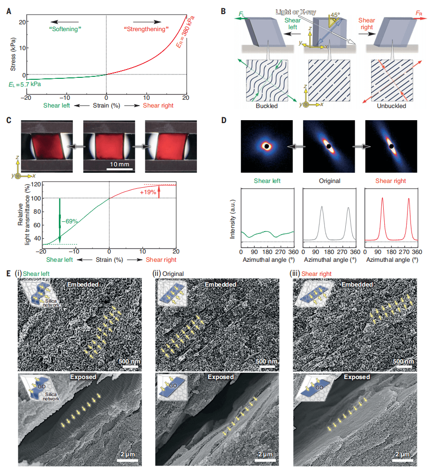 氧化石墨烯，今日Science！