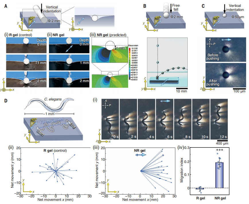 氧化石墨烯，今日Science！