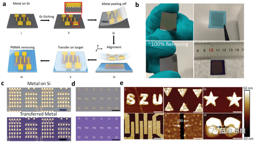 Adv. Funct. Mater.：通过石墨烯增强的金属转移，实现3D金属和2D半导体之间的强范德华接触