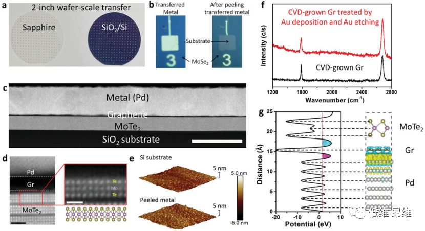 Adv. Funct. Mater.：通过石墨烯增强的金属转移，实现3D金属和2D半导体之间的强范德华接触