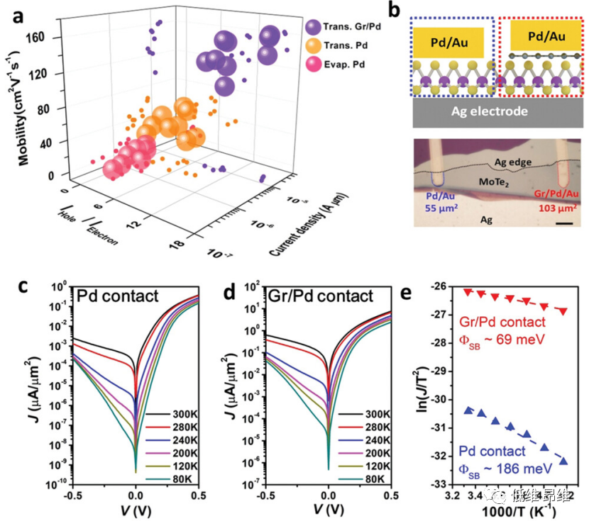 Adv. Funct. Mater.：通过石墨烯增强的金属转移，实现3D金属和2D半导体之间的强范德华接触