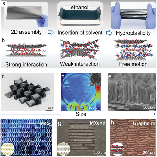 Science之后，浙大高超团队再发AM！