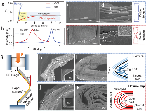 Science之后，浙大高超团队再发AM！