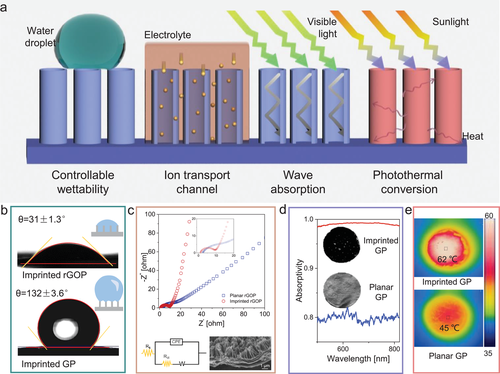 Science之后，浙大高超团队再发AM！
