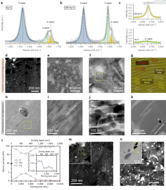 韩国蔚山国立科学技术院Jaephil Cho EES：缺陷石墨烯作为碳质锂金属主体提高液态、固态全电池性能