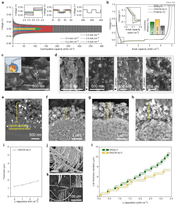 韩国蔚山国立科学技术院Jaephil Cho EES：缺陷石墨烯作为碳质锂金属主体提高液态、固态全电池性能