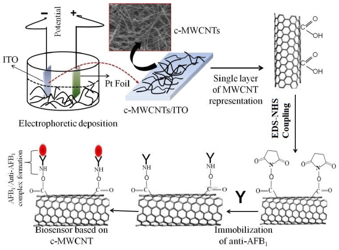 Sensors：“石墨烯传感器”领域文章精选 | MDPI 编辑荐读