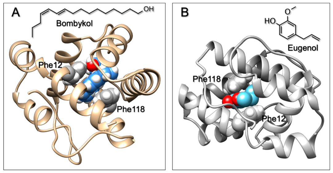 Sensors：“石墨烯传感器”领域文章精选 | MDPI 编辑荐读
