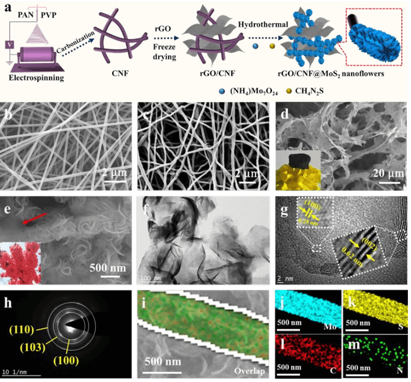 李从举教授，JMCA观点：碳纳米纤维负载石墨烯锚定二硫化钼阳极电催化剂强化微生物燃料电池产电