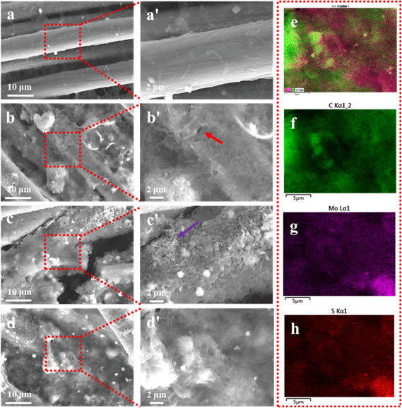 李从举教授，JMCA观点：碳纳米纤维负载石墨烯锚定二硫化钼阳极电催化剂强化微生物燃料电池产电