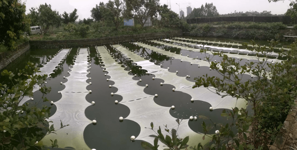 埃米石墨烯    石墨烯光触媒产品简介