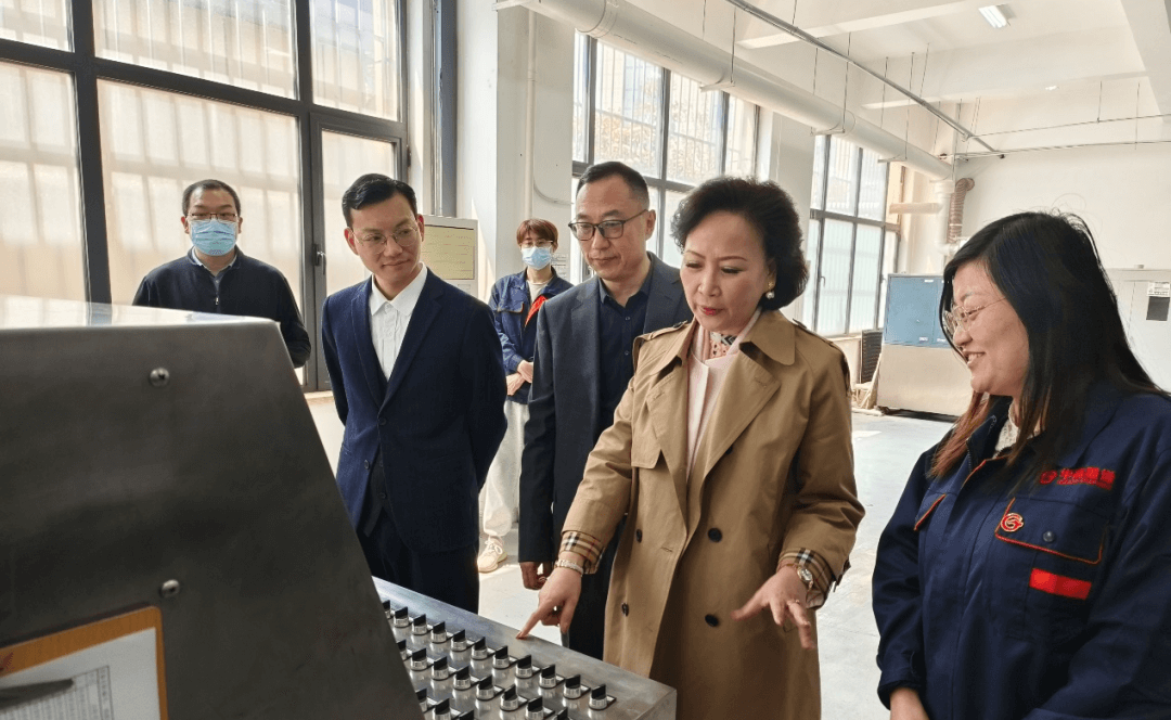 国务院参事、全国政协委员王一莉一行莅临华高墨烯考察指导工作