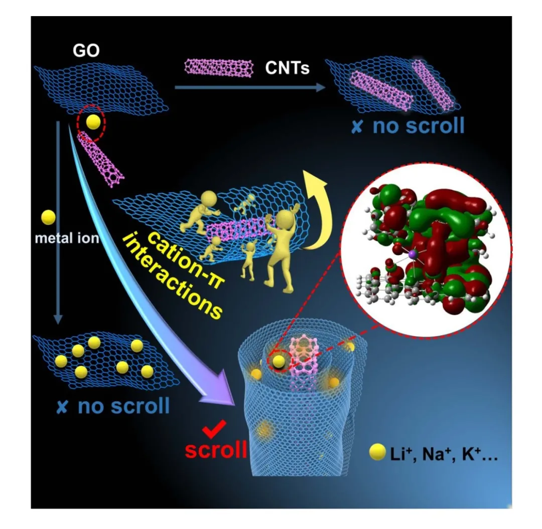 SCMs|酸性环境下金属阳离子-π相互作用驱动氧化石墨烯自卷曲
