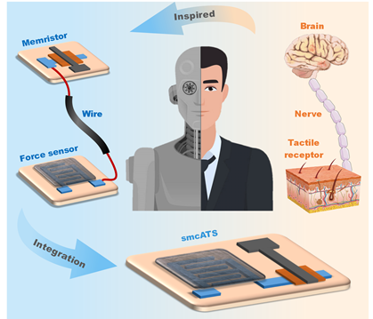 重庆大学李剑/夏圣垣等《Applied Physics Letters》：基于忆阻器与力学传感器的“感存算一体”力学感知系统