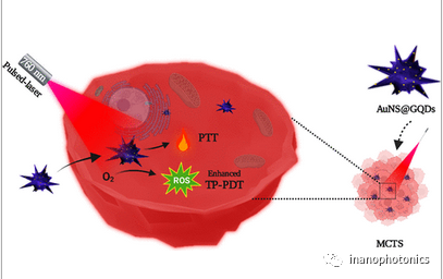 ACS AMI：利用金纳米星/石墨烯量子点纳米复合物探索低功率单脉冲激光触发的双光子光动力/光热联合治疗