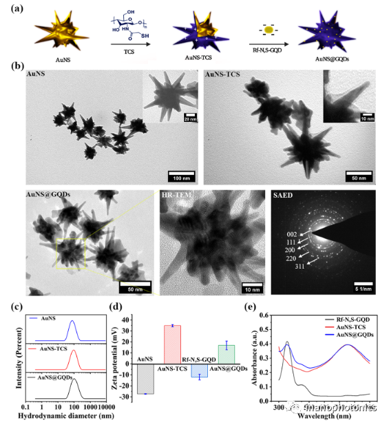 ACS AMI：利用金纳米星/石墨烯量子点纳米复合物探索低功率单脉冲激光触发的双光子光动力/光热联合治疗