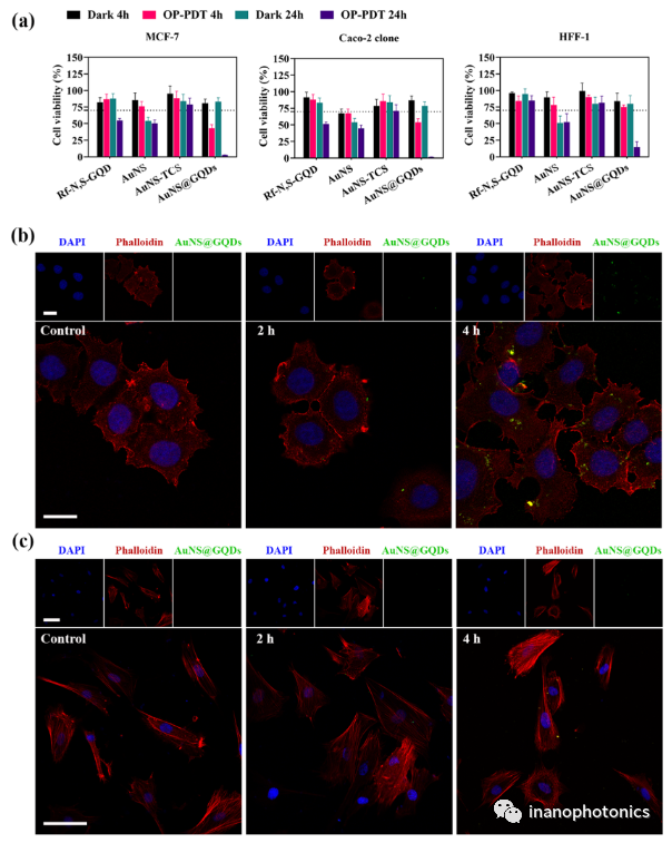 ACS AMI：利用金纳米星/石墨烯量子点纳米复合物探索低功率单脉冲激光触发的双光子光动力/光热联合治疗