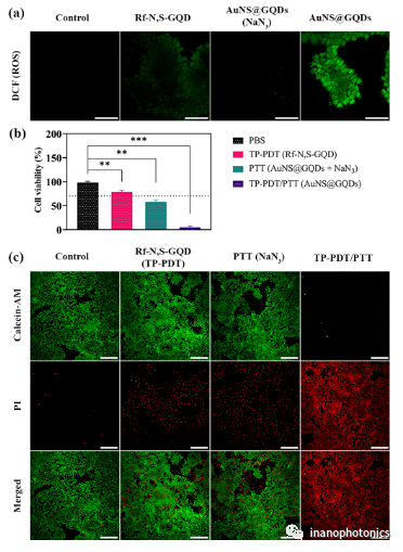 ACS AMI：利用金纳米星/石墨烯量子点纳米复合物探索低功率单脉冲激光触发的双光子光动力/光热联合治疗
