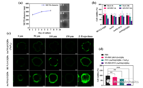 ACS AMI：利用金纳米星/石墨烯量子点纳米复合物探索低功率单脉冲激光触发的双光子光动力/光热联合治疗