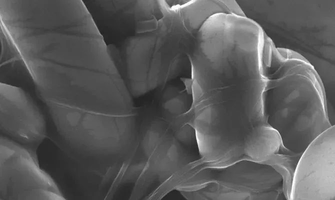 技术报告｜OCSiAl新一代 TUBALL单壁碳纳米管分散液在高功率电池体系的应用