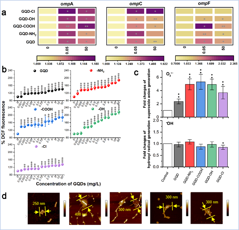 南京农大高彦征教授团队发现石墨烯量子点影响抗生素耐药性传播