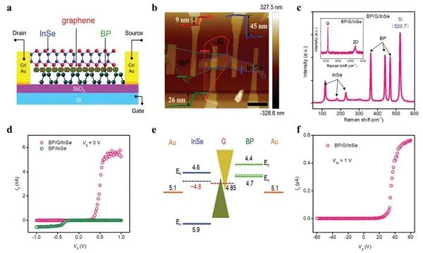 深圳大学张晗、郭志男Adv. Sci.:基于石墨烯隔离层的纳米二维范德华力异质结构的光电探测器