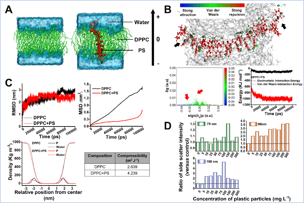 南京农大高彦征教授团队发现石墨烯量子点影响抗生素耐药性传播